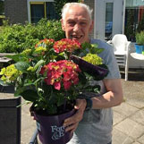 mooie tuinplant
